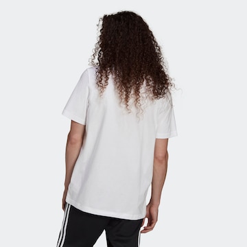 T-Shirt 'Adicolor Classics Trefoil' ADIDAS ORIGINALS en blanc