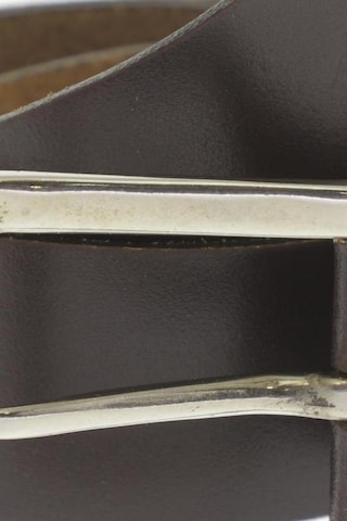 BRAX Belt in One size in Brown