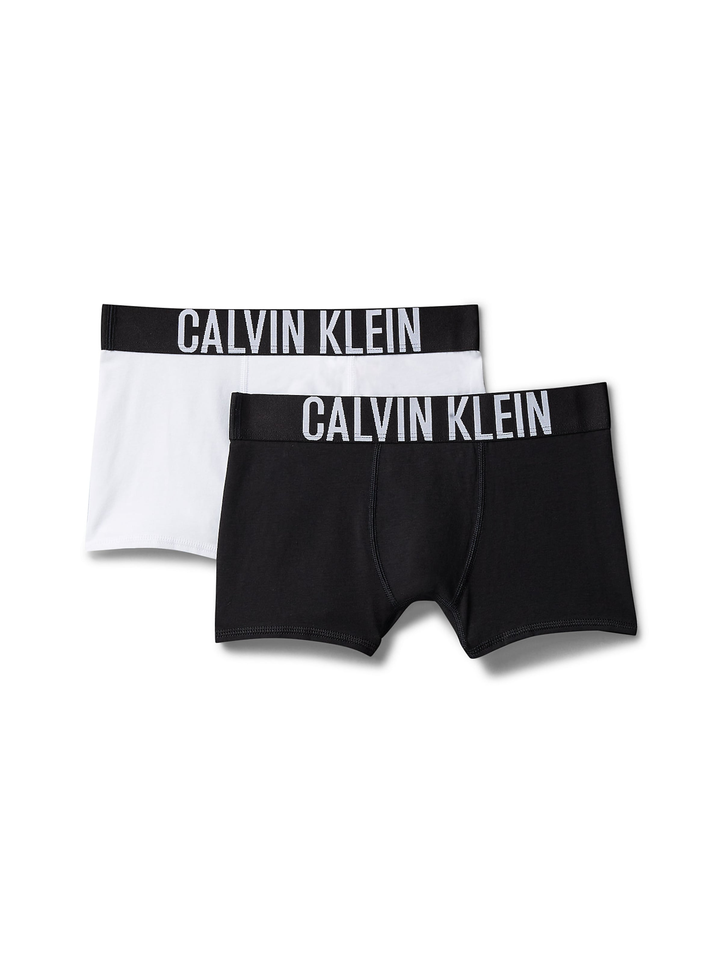 Calvin Klein Underwear Regular Underpants 'Intense Power' in Black: front