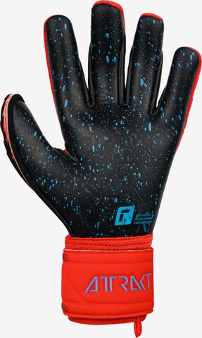 REUSCH Sporthandschuhe 'Attrakt Freegel Fusion Goaliator' in Rot