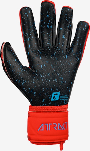 REUSCH Athletic Gloves 'Attrakt Freegel Fusion Goaliator' in Red