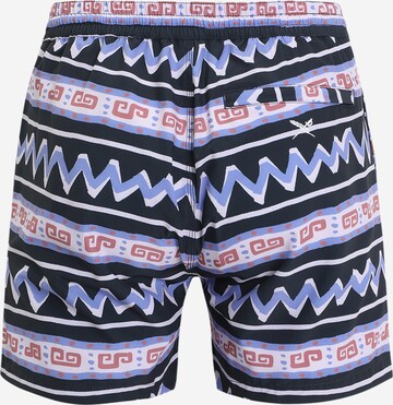 Iriedaily Loosefit Shorts 'Crazy Fresh' in Blau