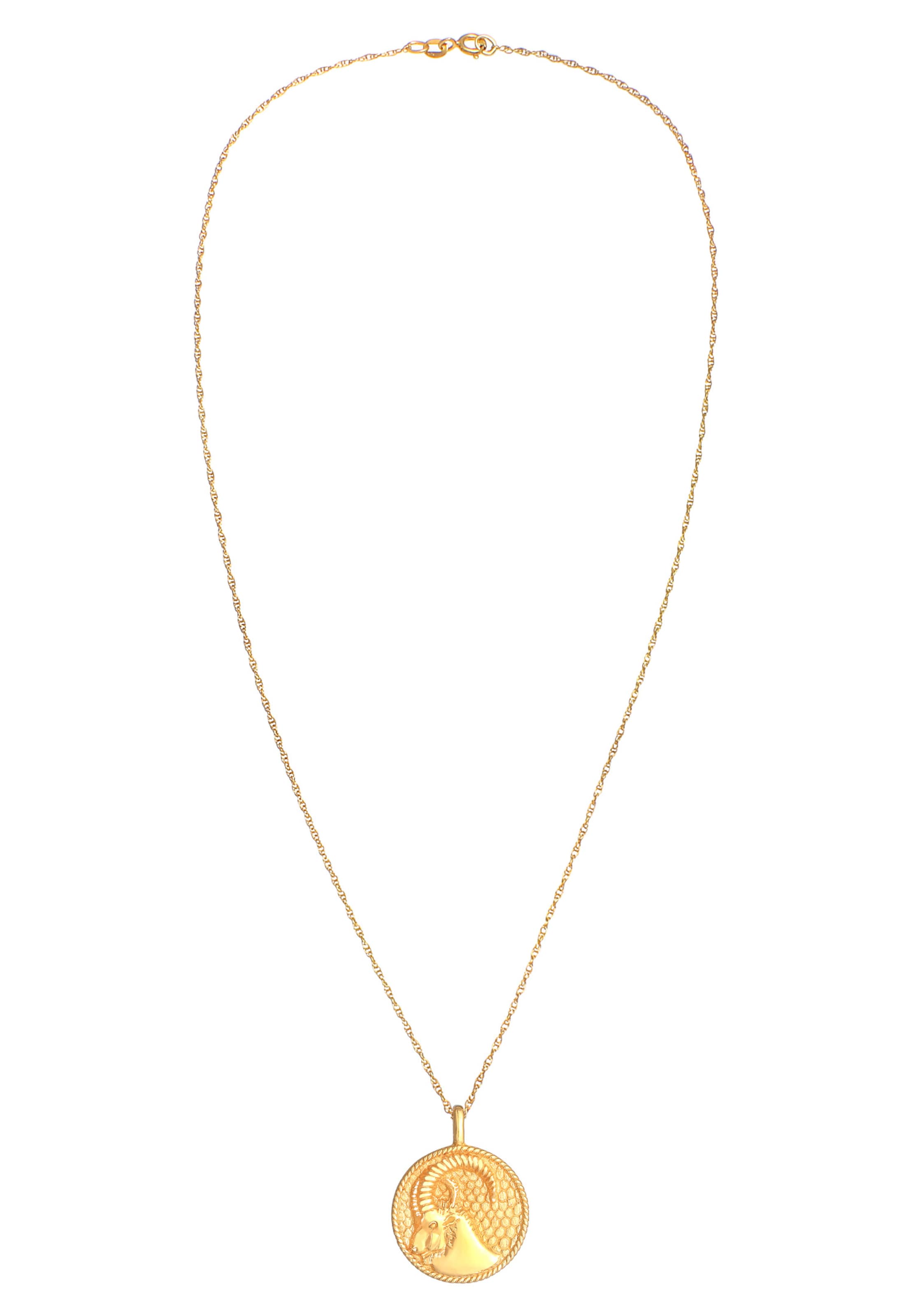 ELLI Ketting in Goud: voorkant