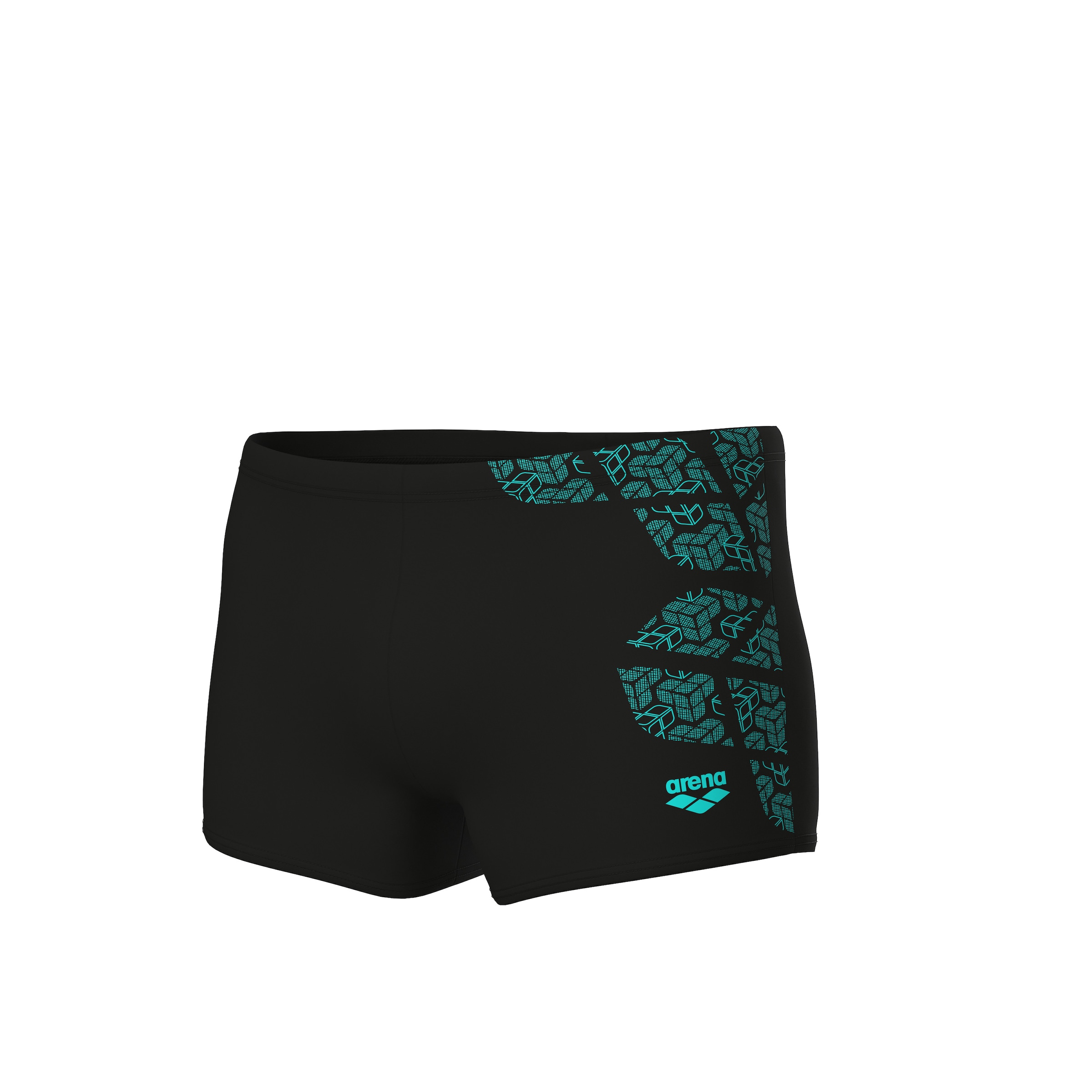 ARENA Board Shorts in Black