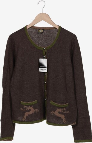 HAMMERSCHMID Sweater & Cardigan in XL in Brown: front