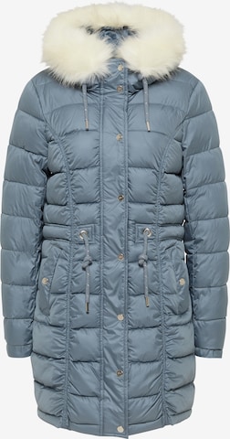 zils faina Ziemas mētelis: no priekšpuses