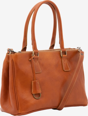 Viola Castellani Crossbody bag in Brown: front