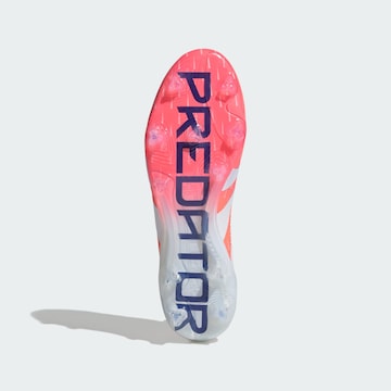 Scarpa da calcio 'Predator Elite' di ADIDAS PERFORMANCE in arancione