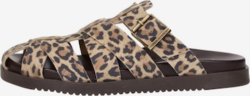 STEVE MADDEN Pantolette 'Mamba' in Beige: Vorderseite