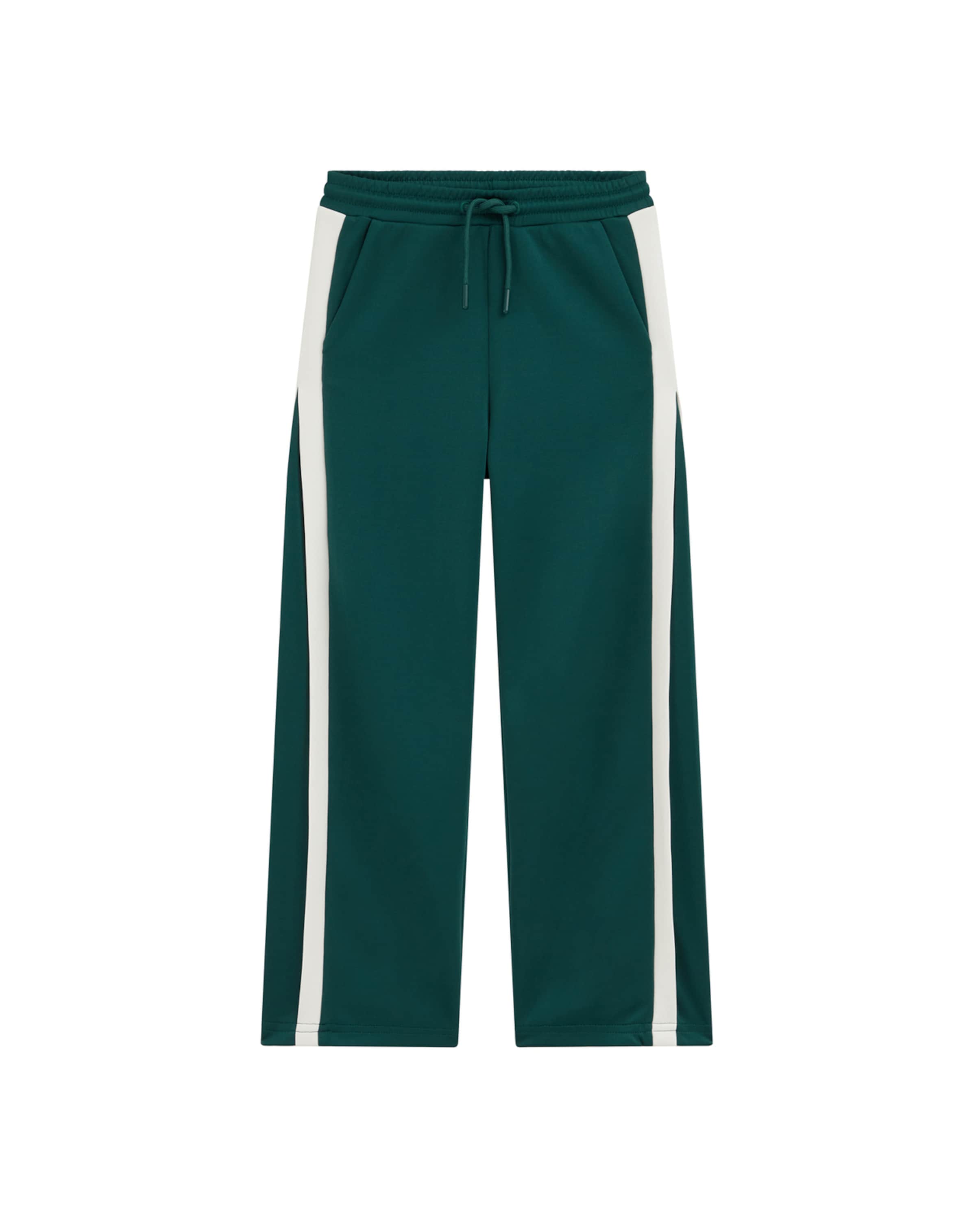 Wide leg Pantaloni de la WE Fashion pe verde: față
