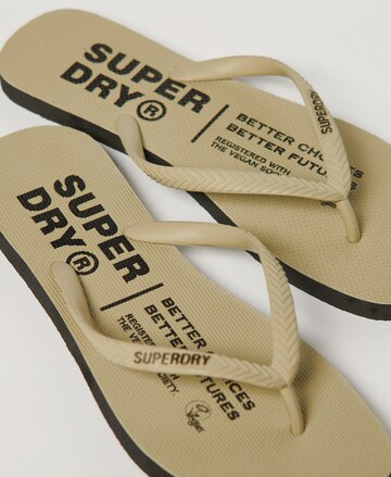 Superdry Teenslipper in Beige