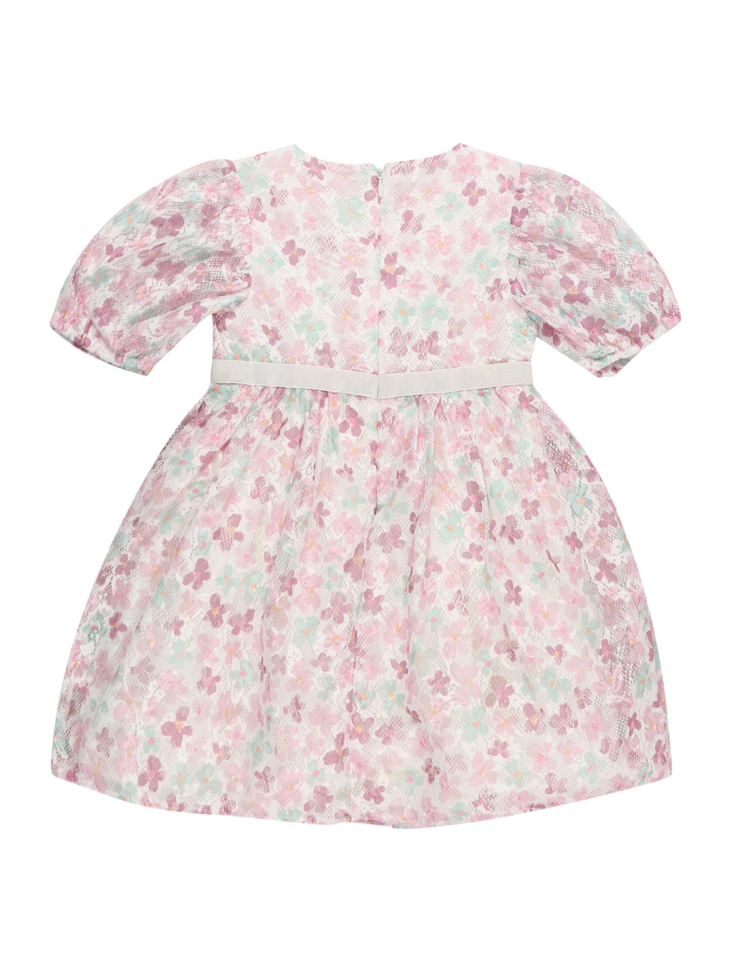 rozā s.Oliver Kleita