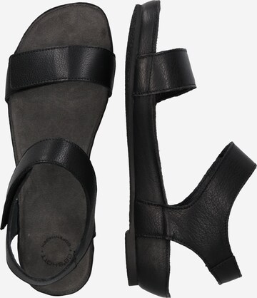 Ca'Shott Sandals in Black