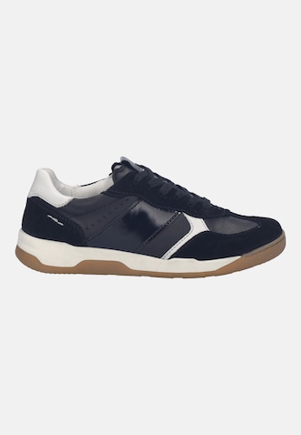 JOSEF SEIBEL High-top trainers in Black
