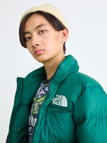 THE NORTH FACE Zimska jakna '1996 Retro Nuptse' | zelena barva