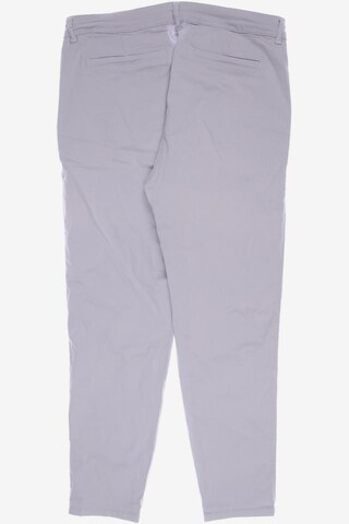 VIA APPIA DUE Pants in XL in Grey