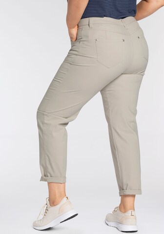 KjBRAND Regular Pants in Beige