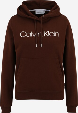 Calvin Klein Sweatshirt in Braun: predná strana