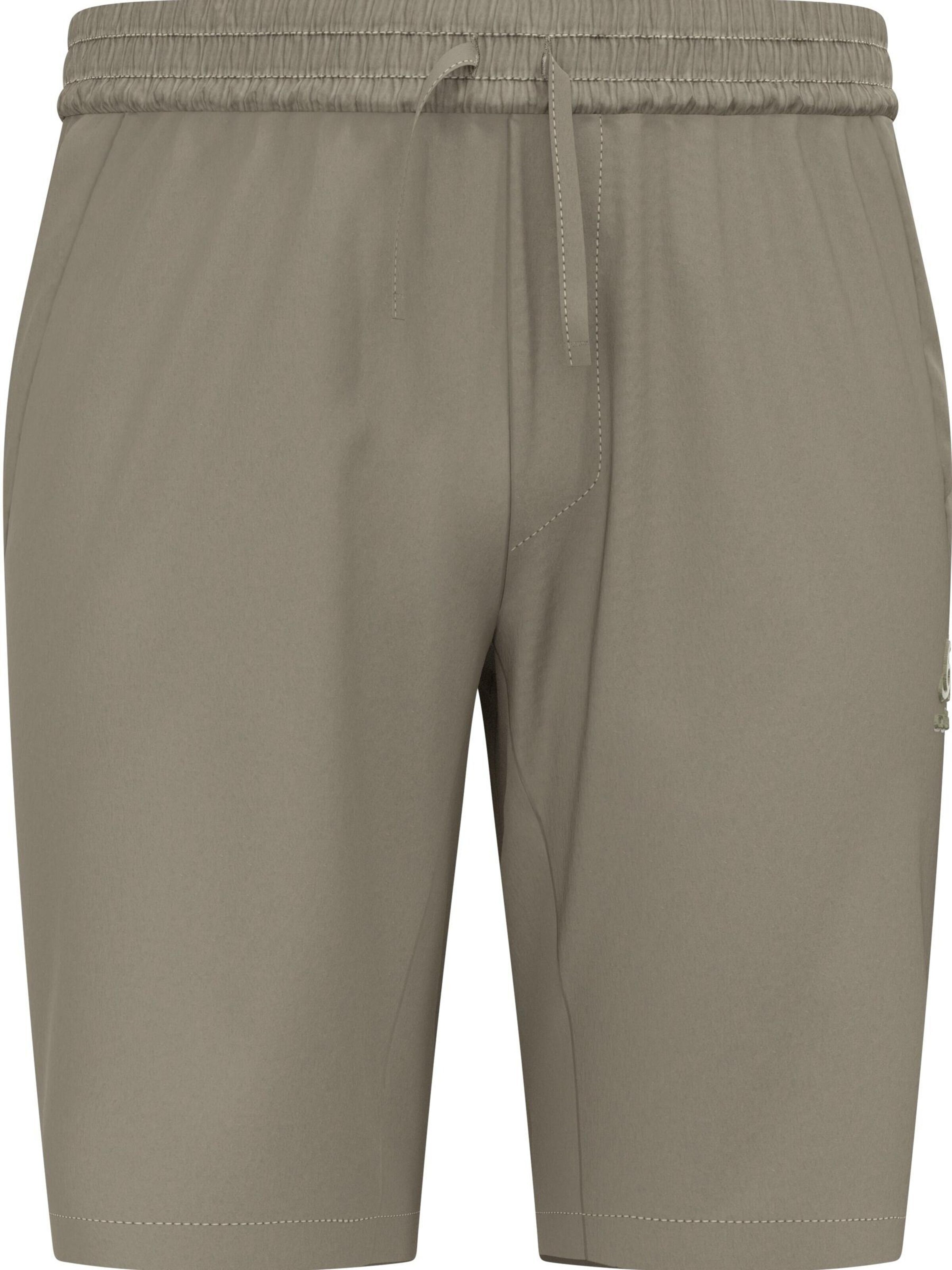 regular Pantaloni per outdoor 'ESSENTIAL' di ODLO in marrone: frontale