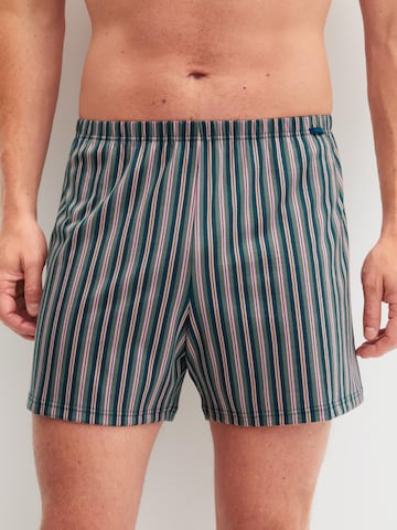 CALIDA Boxer shorts 'Prints' in Purple