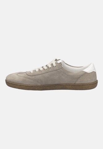 JOSEF SEIBEL Sneaker Jill 02 in Beige