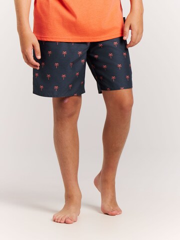 PROTEST Board Shorts 'PRTCalvin JR' in Blue