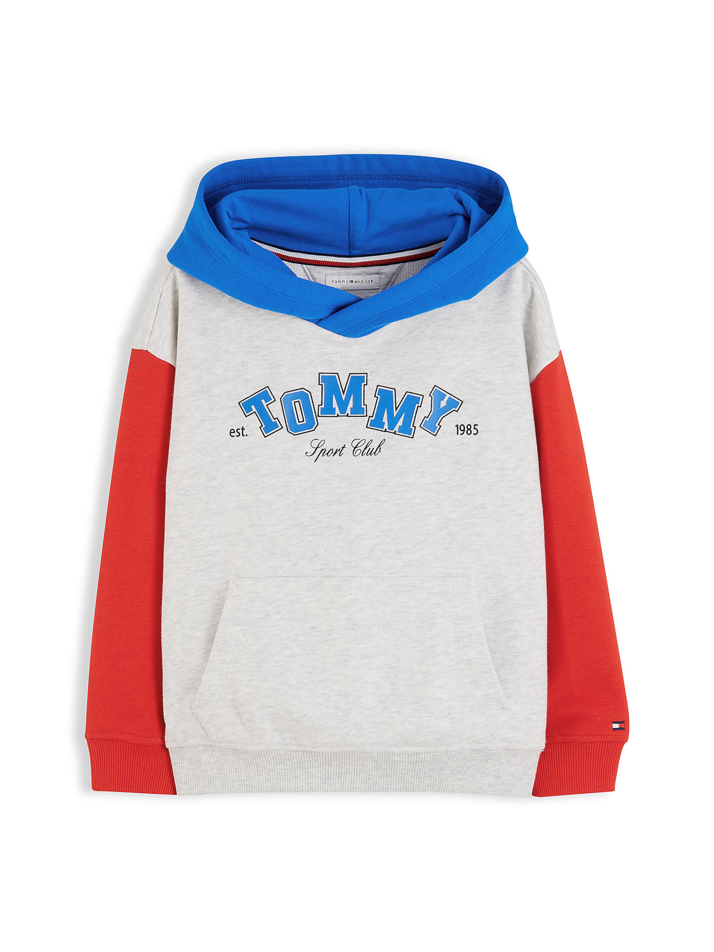 TOMMY HILFIGER Sweatshirt in Grijs: voorkant