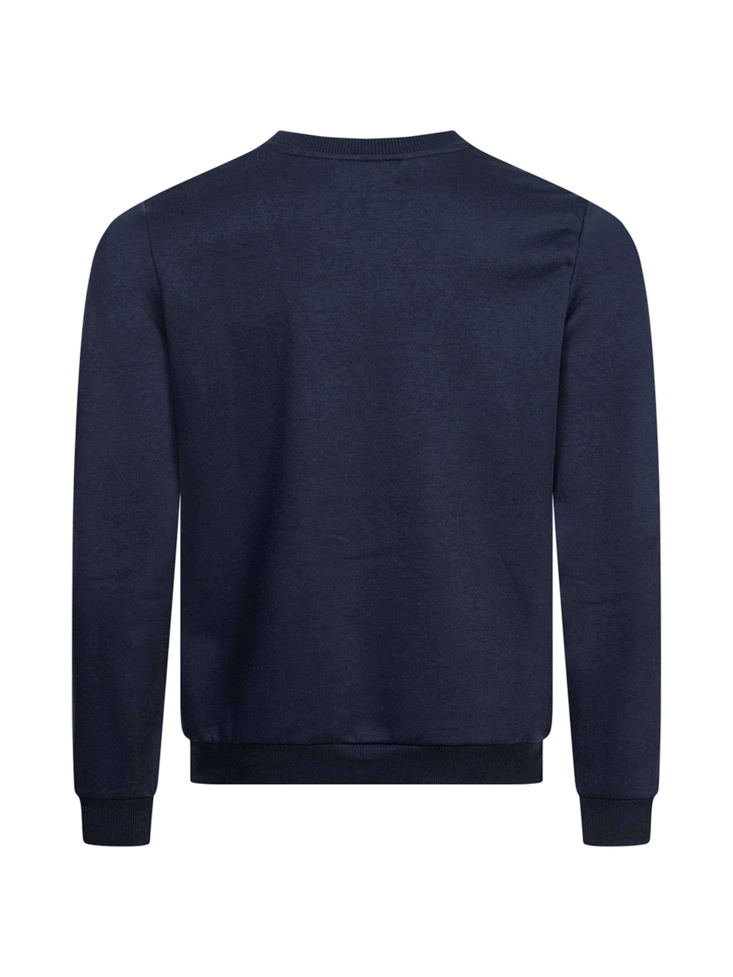 Felpa di PIERRE CARDIN in blu