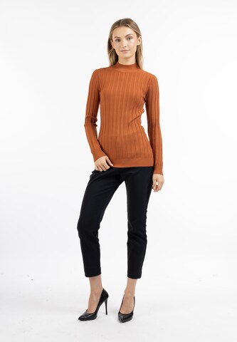 Pull-over DreiMaster Klassik en marron