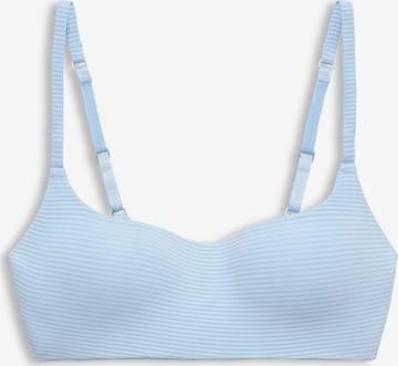 ESPRIT Push-up BH in Blau: predná strana