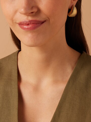 Lucardi Earrings in Gold: front