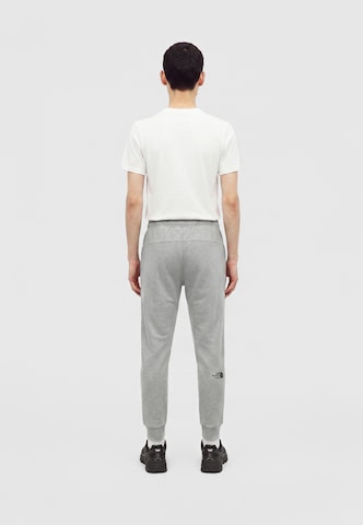 THE NORTH FACE Tapered Byxa 'EVO BOX HALF DOME' i grå