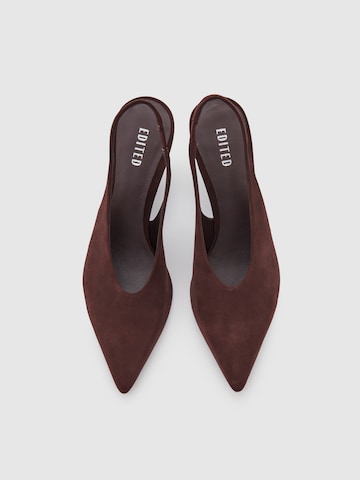 EDITED Slingback pumps 'Tessa' in Brown