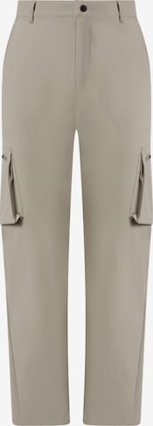 Pantaloni cargo di Champion Authentic Athletic Apparel in grigio: frontale