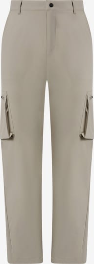 Champion Authentic Athletic Apparel Cargo hlače u siva, Pregled proizvoda