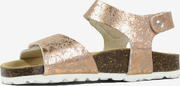 Richter Schuhe Sandals in Gold: front