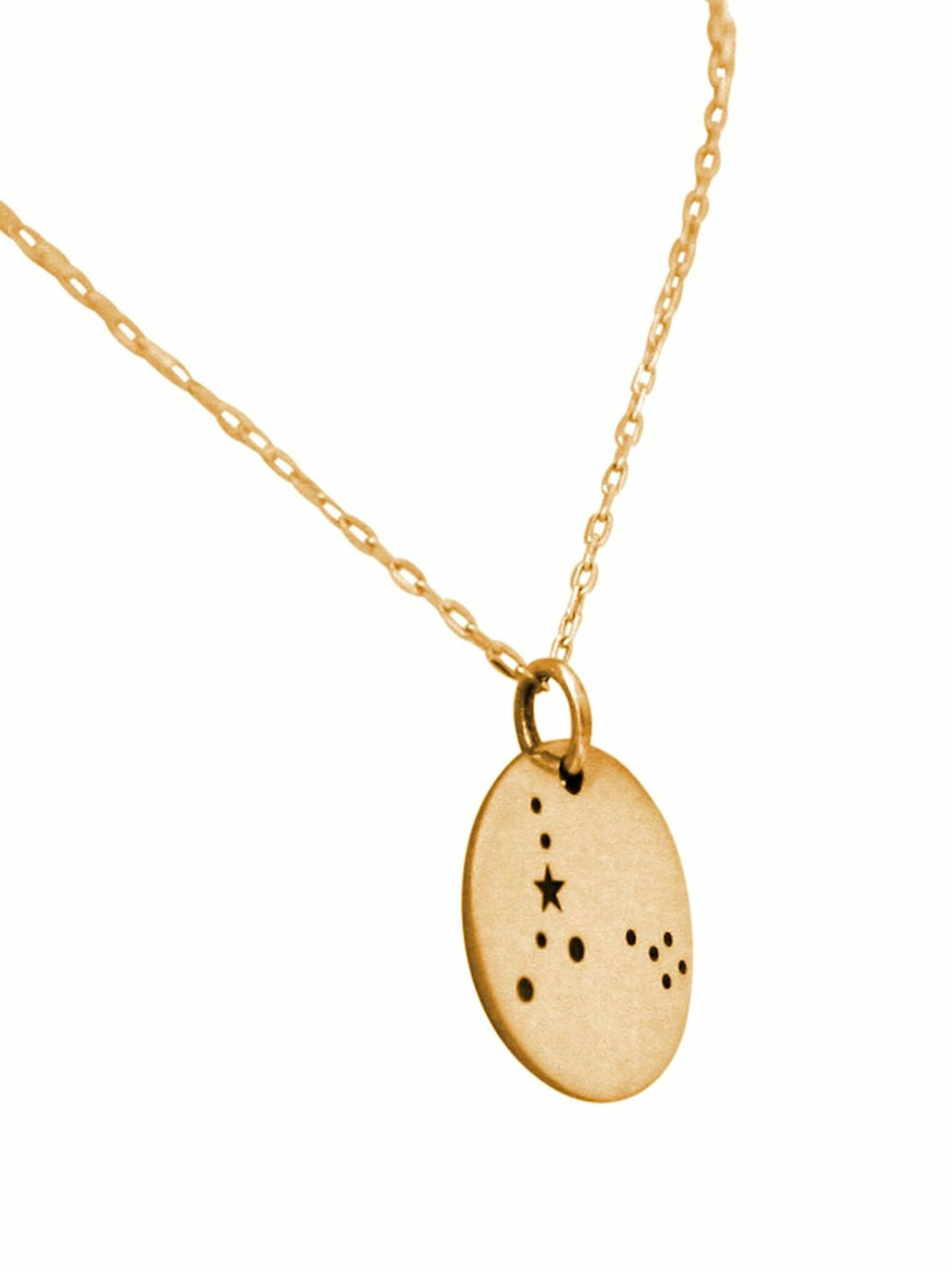 Gemshine Kette 'Horoskop Sternzeichen Pisces Fische' in Gold