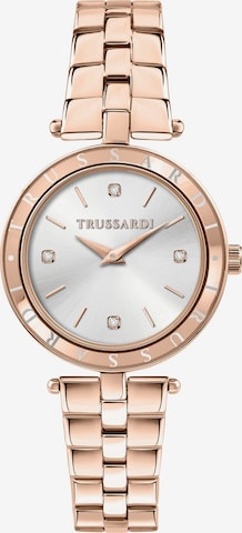 Trussardi Analoguhr in Gold: Vorderseite