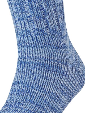 FALKE Socks 'Brooklyn' in Blue