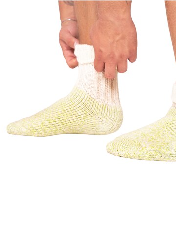 HomeOfSocks Socks 'HOS459' in Green