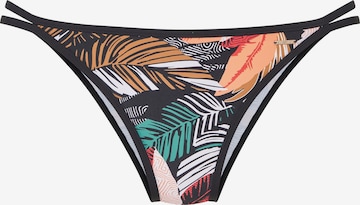 juoda SUNSEEKER Bikinio kelnaitės: priekis
