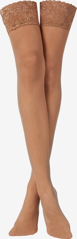 CALZEDONIA Hold-up stockings in Brown: front