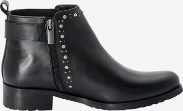 SHEEGO Ankle Boots in Schwarz