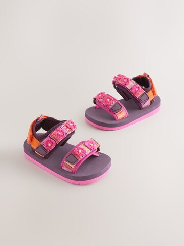 Sandales Next en violet