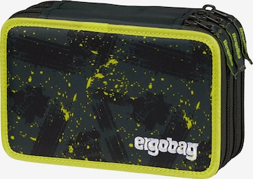 ergobag Bag 'Federmäppchen Maxi Mäppchen' in Green: front