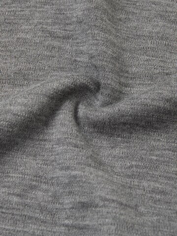 Reima Beanie 'Aurora' in Grey