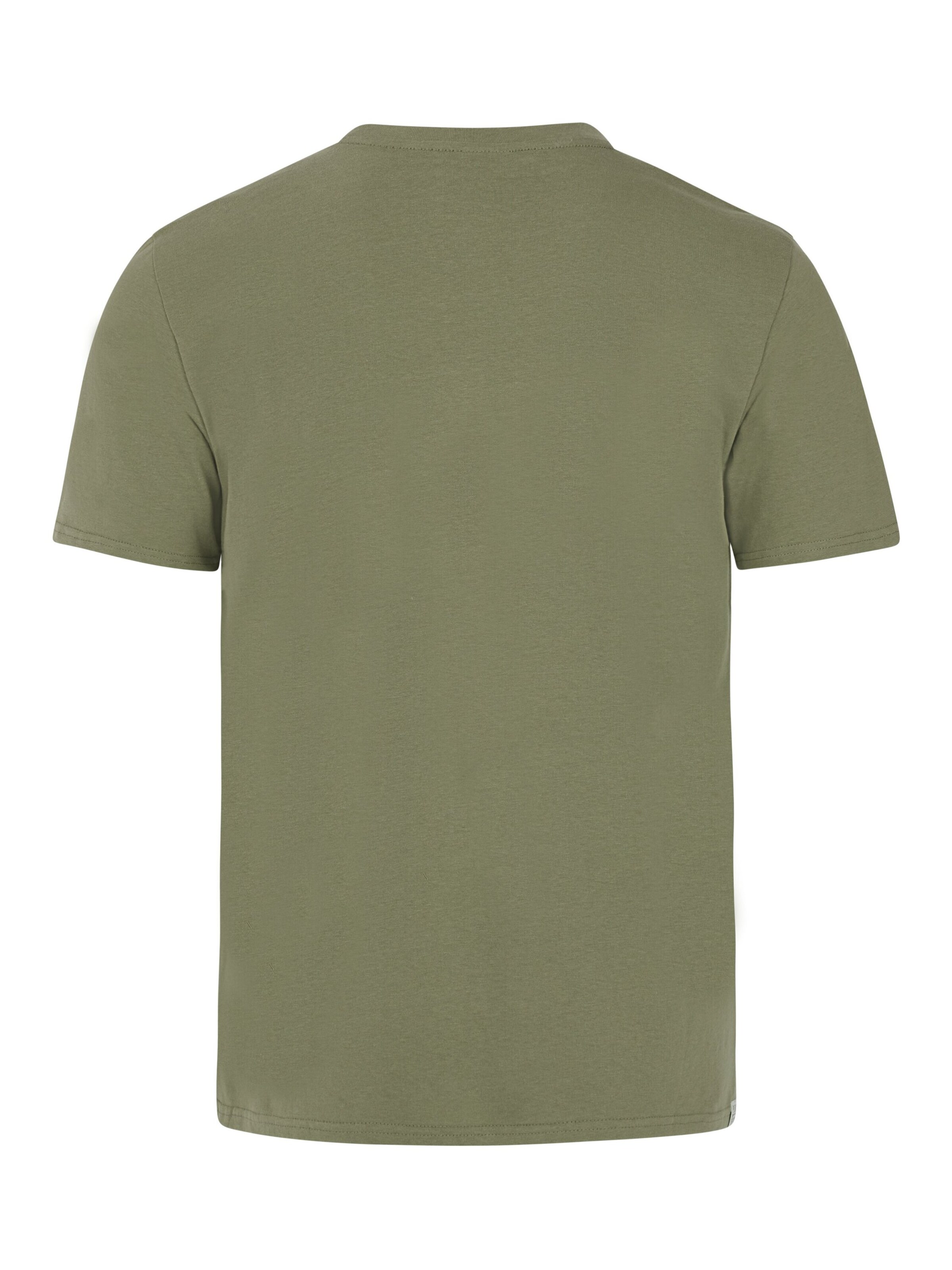 PROTEST Shirt 'PRTSTAN' in Groen