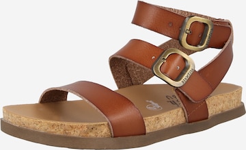 ruda Blowfish Malibu Sandalai 'LAWSON': priekis