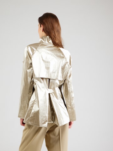 Max Mara Leisure Funkcionalna jakna 'ABADAN' | zlata barva