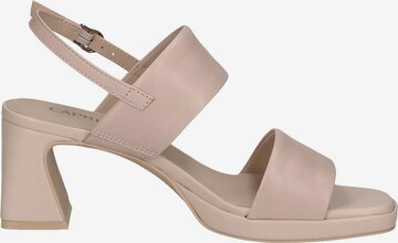 CAPRICE Sandals in Pink